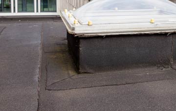 disadvantages of Dunhampton flat roofs