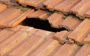 roof repair Dunhampton, Worcestershire
