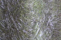 Dunhampton fibreglass roof work